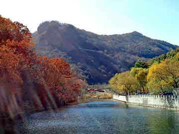 新澳天天开奖资料大全旅游团，黑帽seo服务